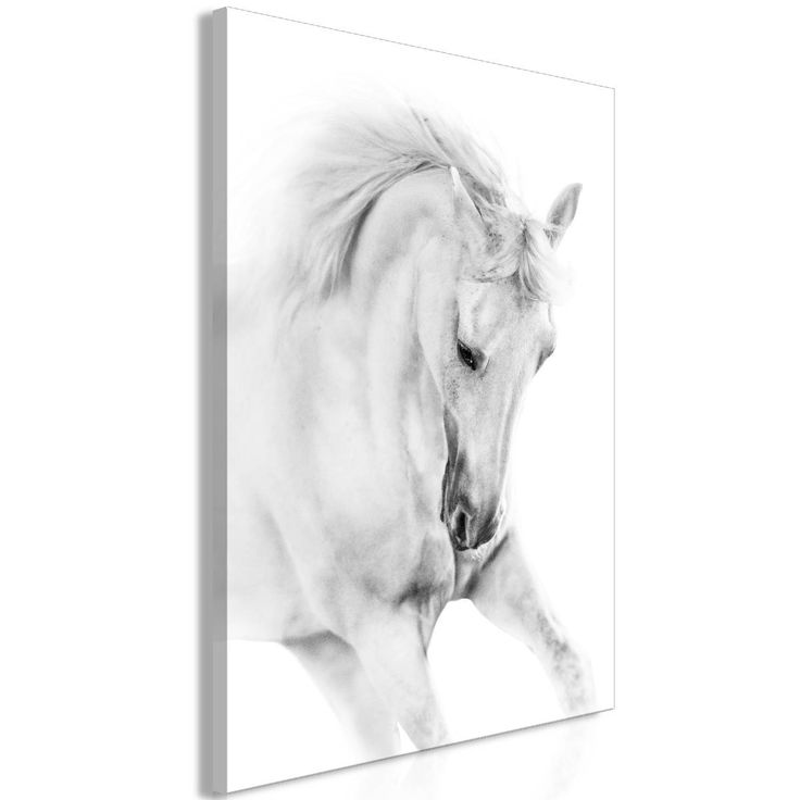 Taulu Artgeist White Horse 1-osainen pystysuuntainen eri kokoja