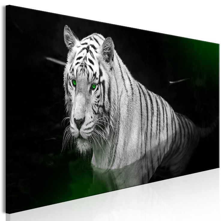 Taulu Artgeist Shining Tiger Green 1-osainen kapea eri kokoja
