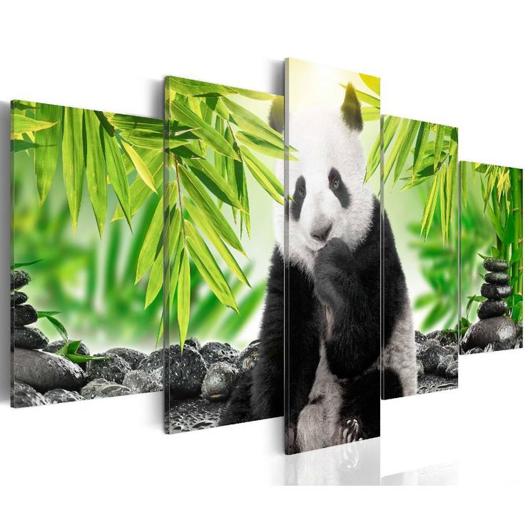 Taulu Artgeist Sweet Little Panda eri kokoja