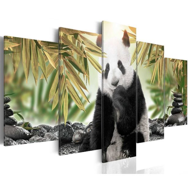 Taulu Artgeist Cute Panda Bear  eri kokoja
