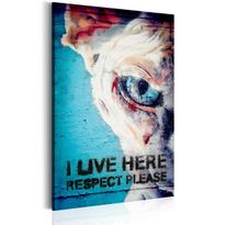 Canvas-taulu Artgeist I Live Here, Respect Please, eri kokoja