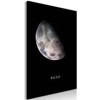 Canvas-taulu Artgeist Moon, 1-osainen, pystysuuntainen, eri kokoja