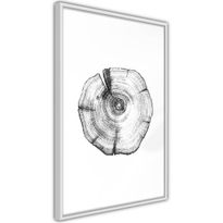 Juliste Artgeist Wood Slice, kehyksillä, eri kokoja
