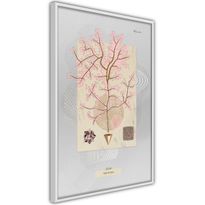 Juliste Artgeist Mysterious Tree, kehyksillä, eri kokoja