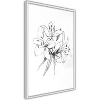 Juliste Artgeist Drawn Flowers, kehyksillä, eri kokoja