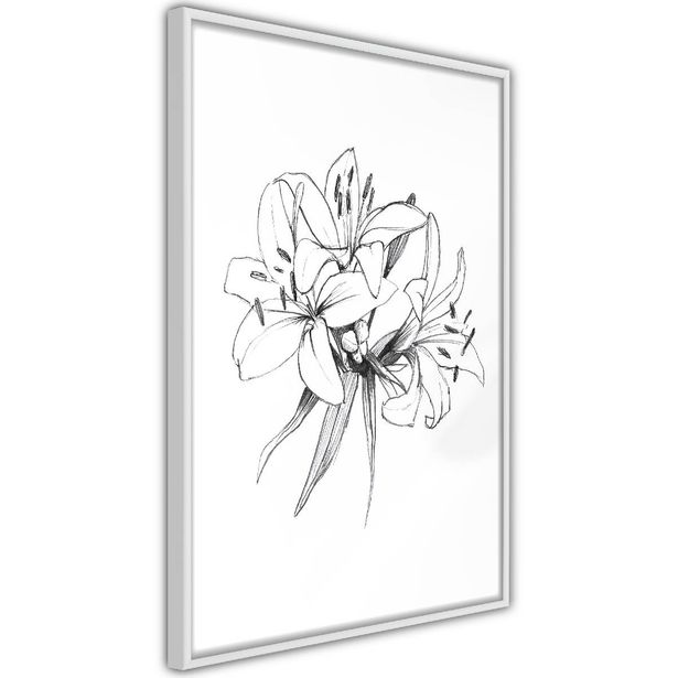 Juliste Artgeist Drawn Flowers, kehyksillä, eri kokoja