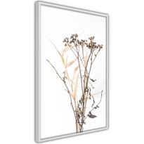Juliste Artgeist Camomile, kehyksillä, eri kokoja