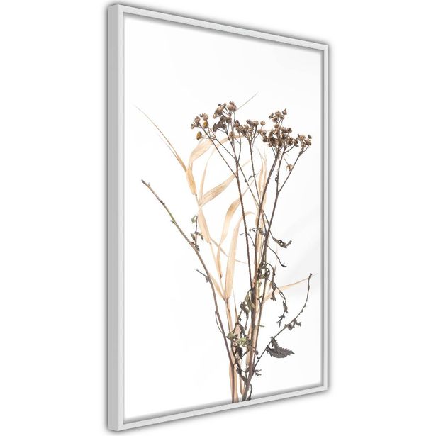 Juliste Artgeist Camomile, kehyksillä, eri kokoja