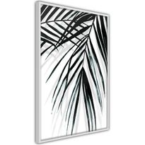 Juliste Artgeist Palm Relax, kehyksillä, eri kokoja