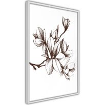 Juliste Artgeist Renaissance Magnolias, kehyksillä, eri kokoja