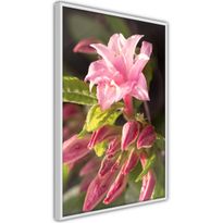 Juliste Artgeist Natural Pink, kehyksillä, eri kokoja