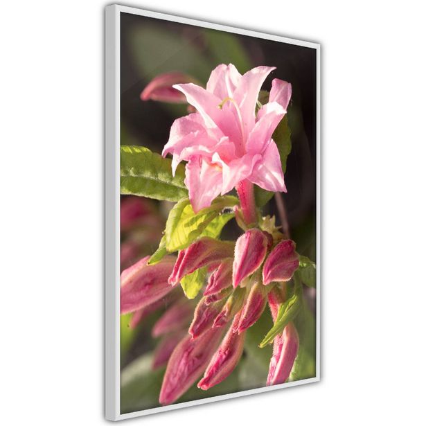 Juliste Artgeist Natural Pink, kehyksillä, eri kokoja