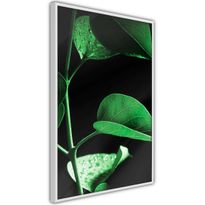 Juliste Artgeist Plant in Black, kehyksillä, eri kokoja