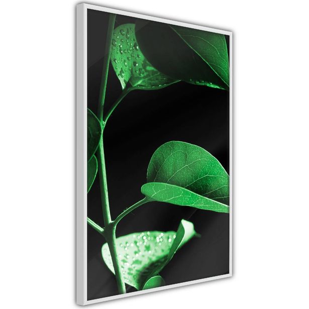 Juliste Artgeist Plant in Black, kehyksillä, eri kokoja