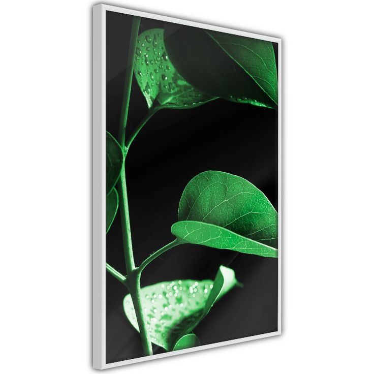Juliste Artgeist Plant in Black, kehyksillä, eri kokoja