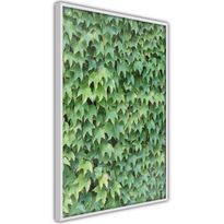 Juliste Artgeist Thick Ivy, kehyksillä, eri kokoja
