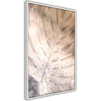 Juliste Artgeist Amber Monstera, kehyksillä, eri kokoja