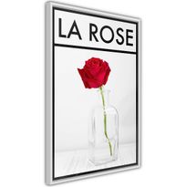 Juliste Artgeist La Rose, kehyksillä, eri kokoja