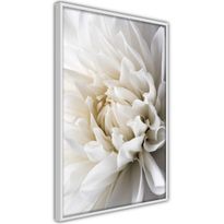 Juliste Artgeist White Dahlia, kehyksillä, eri kokoja