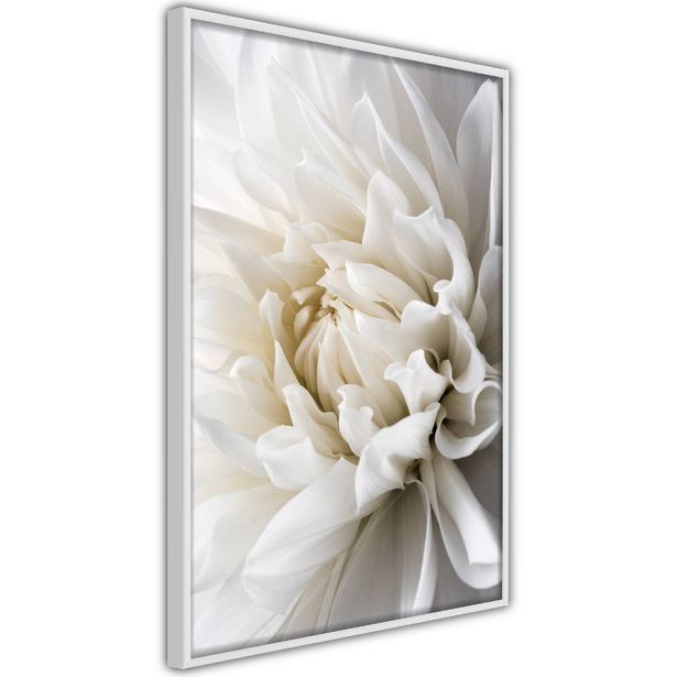 Juliste Artgeist White Dahlia, kehyksillä, eri kokoja