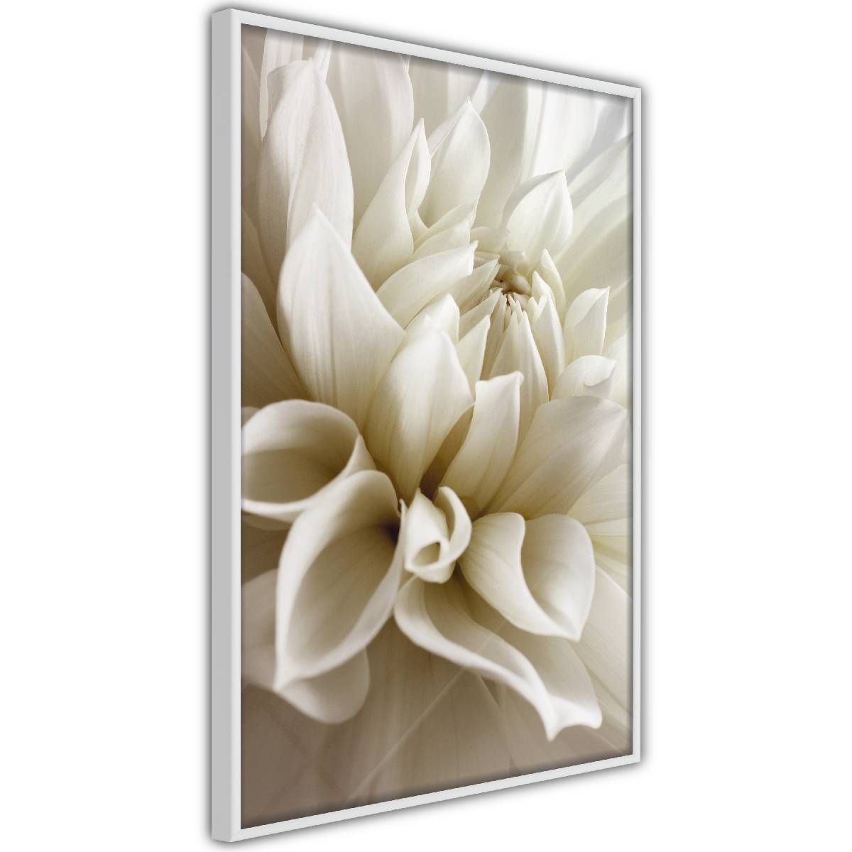 Juliste Artgeist Beautiful Dahlia, kullanvärinen kehys, 60x40cm