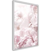 Juliste Artgeist Fluffy Peonies, kehyksillä, eri kokoja