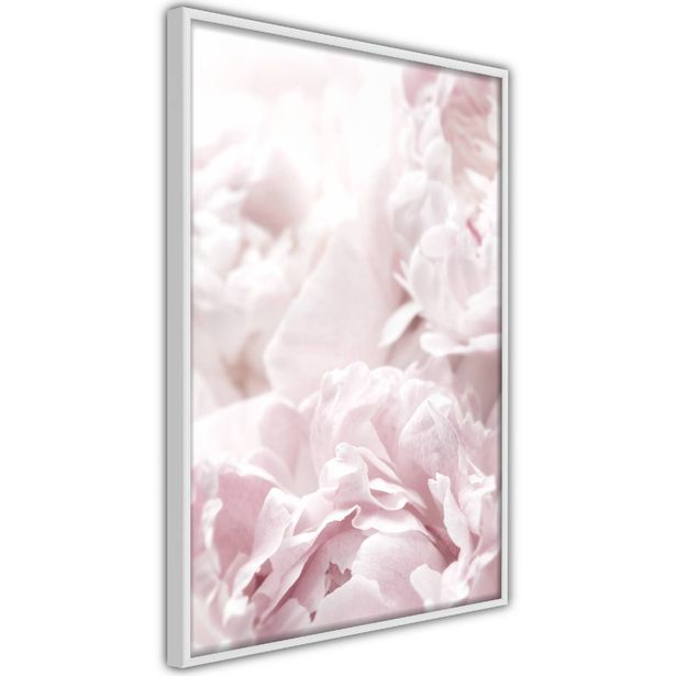 Juliste Artgeist Fluffy Peonies, kehyksillä, eri kokoja