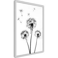 Juliste Artgeist Flying Dandelions, kehyksillä, eri kokoja