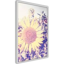 Juliste Artgeist Sunflower, kehyksillä, eri kokoja