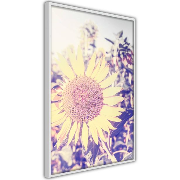 Juliste Artgeist Sunflower, kehyksillä, eri kokoja