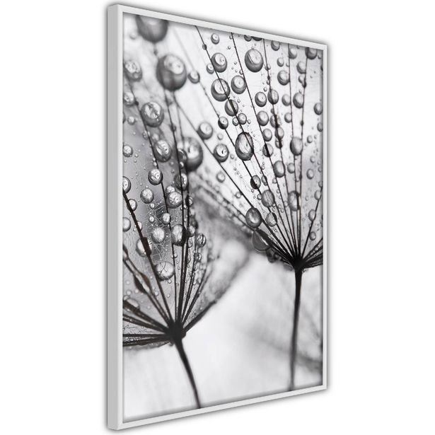 Juliste Artgeist Morning Dew, kehyksillä, eri kokoja