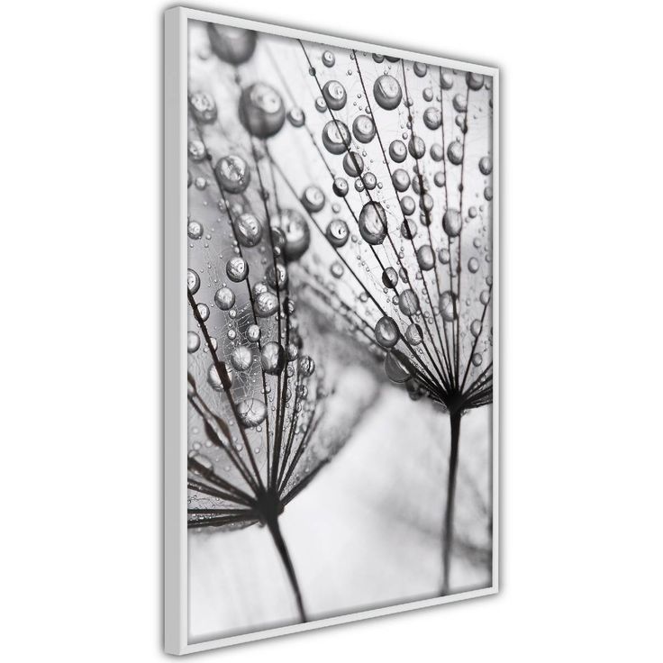Juliste Artgeist Morning Dew, kehyksillä, eri kokoja