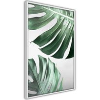 Juliste Artgeist Monstera Leaves, kehyksillä, eri kokoja