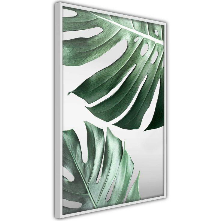 Juliste Artgeist Monstera Leaves, kehyksillä, eri kokoja
