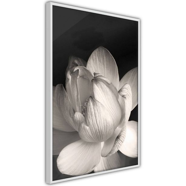 Juliste Artgeist White Subtlety, kehyksillä, eri kokoja