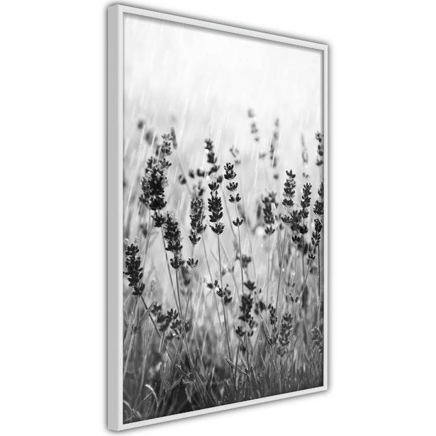 Juliste Artgeist Lavender in the Rain, kehyksillä, eri kokoja