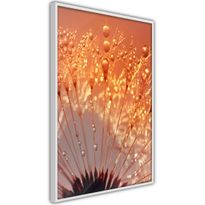 Juliste Artgeist Autumn Dandelion, kehyksillä, eri kokoja