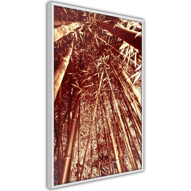 Juliste Artgeist Tall Bamboos, kehyksillä, eri kokoja