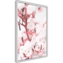 Juliste Artgeist Blooming Cotton, kehyksillä, eri kokoja