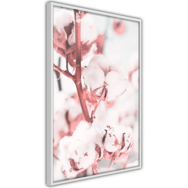 Juliste Artgeist Blooming Cotton, kehyksillä, eri kokoja