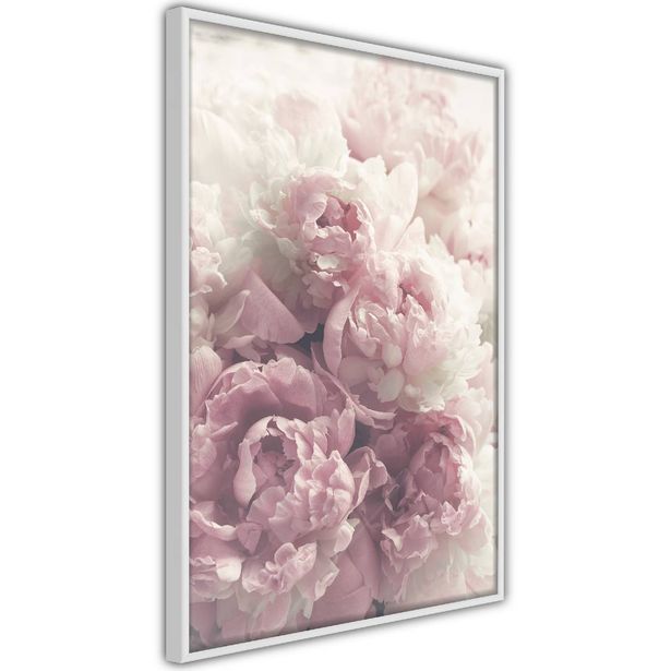 Juliste Artgeist Delicate Peonies, kehyksillä, eri kokoja