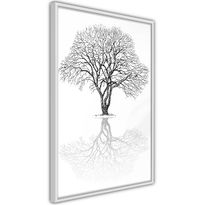 Juliste Artgeist Reflection Tree, kehyksillä, eri kokoja