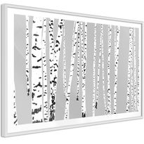 Juliste Artgeist Birch, kehyksillä, eri kokoja