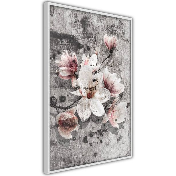 Juliste Artgeist Magnolias, kehyksillä, eri kokoja