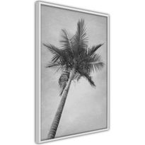 Juliste Artgeist High Palm Tree, kehyksillä, eri kokoja