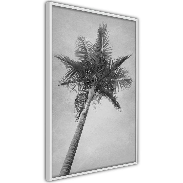 Juliste Artgeist High Palm Tree, kehyksillä, eri kokoja