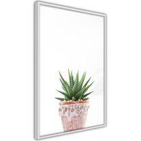 Juliste Artgeist Succulents In Pot, kehyksillä, eri kokoja