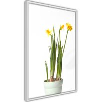 Juliste Artgeist Narcissus, kehyksillä, eri kokoja