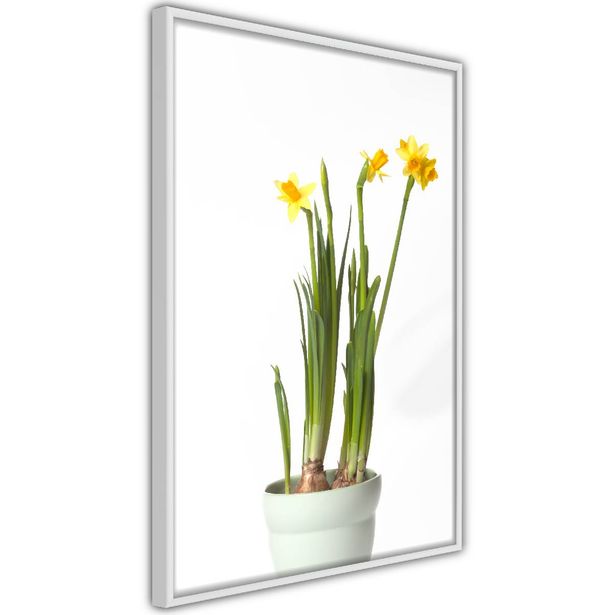 Juliste Artgeist Narcissus, kehyksillä, eri kokoja