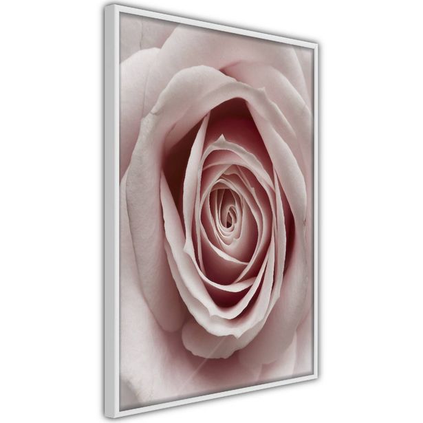 Juliste Artgeist Pastel Rose, kehyksillä, eri kokoja